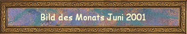 Bild des Monats Juni 2001